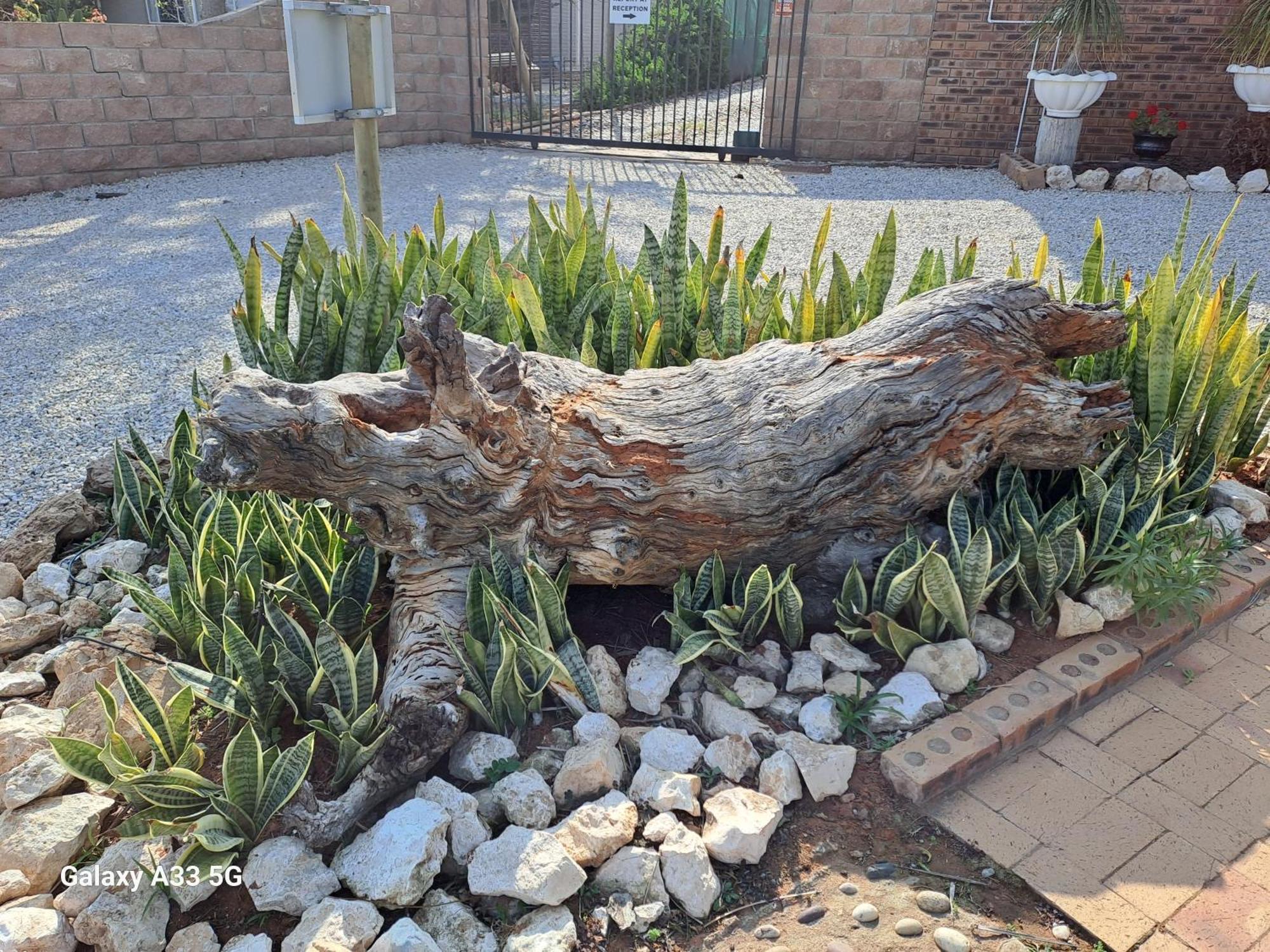 The Golden Grape B&B Lutzville Esterno foto